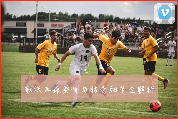 勒沃库森要价与转会细节全解析